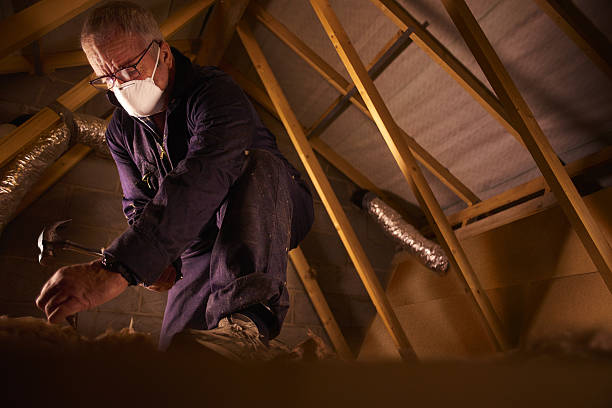 Best Insulation Maintenance and Repair in Fairmont, MN