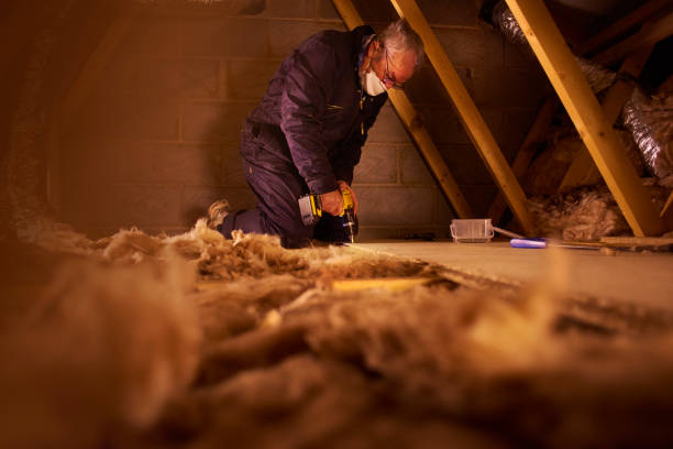 Best Insulation Installation Services in Fairmont, MN
