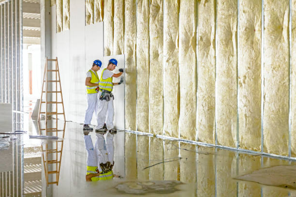 Best Insulation Installation Services in Fairmont, MN
